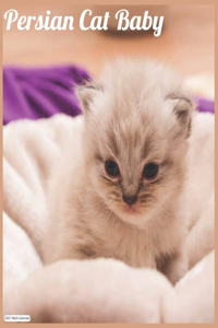 Persian Cat Baby 2021 Wall Calendar