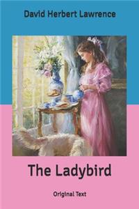 The Ladybird