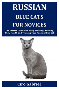 Russian Blue Cats for Novices