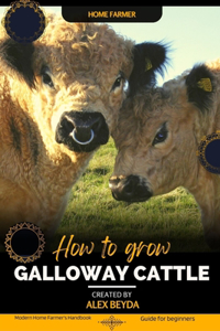 Galloway Cattle