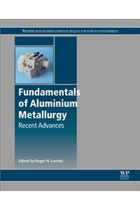 Fundamentals of Aluminium Metallurgy