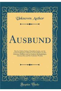 Ausbund: Das Ist, Etliche SchÃ¶ne Christliche Lieder, Wie Sie in Dem GefÃ¤ngniss Zu Bassau in Dem Schloss Von Den Schweizer-BrÃ¼dern Und Von Anderen RechtglÃ¤ubigen Christen Hin Und Her Gedichtet Worden (Classic Reprint)