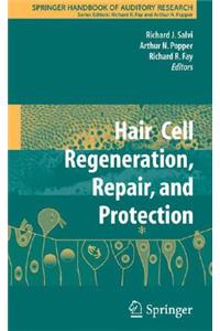 Hair Cell Regeneration, Repair, and Protection