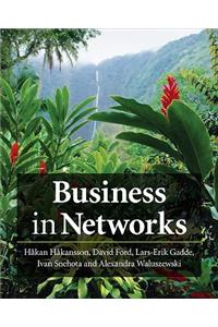 Business in Networks