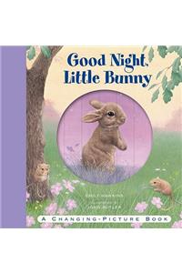 Good Night, Little Bunny