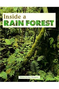 Inside a Rain Forest