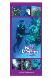 RAINBOW READING MARINE ENCOUNT