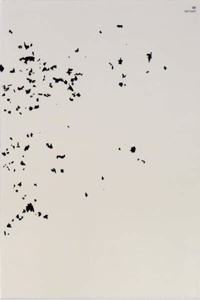 Benoit Fougeirol - (Zus)