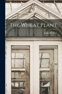Wheat Plant