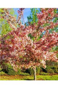 School Composition Book Pretty Spring Flowering Tree