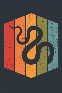 Retro Snake Notebook - Gift for Snake Lovers - Vintage Snake Journal - Snake Diary for Boys and Girls