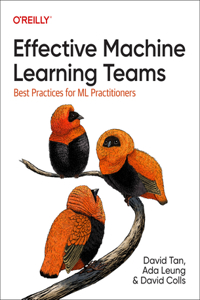 Effective Machine Learning Teams