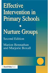 Effective Intervention in Primary Schools