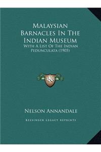 Malaysian Barnacles In The Indian Museum