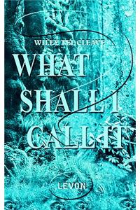 What Shall I Call It?