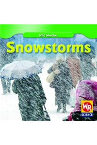 Snowstorms