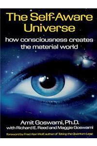 The Self-Aware Universe