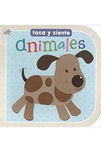 Animales - Toca y Siente (Little Learners)