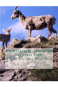 Animals of Yellowstone National Park