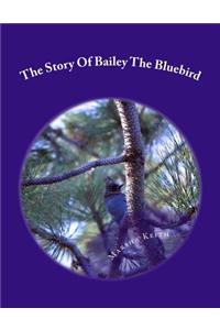 Story Of Bailey The Bluebird