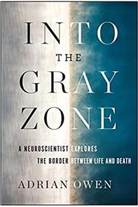 Into the Gray Zone
