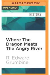 Where the Dragon Meets the Angry River