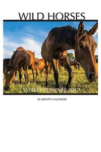 Wild Horses Weekly Planner 2017