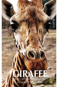 Giraffe Pocket Monthly Planner 2017