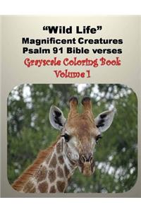 Wild Life Magnificent Creatures Psalm 91 Bible verses