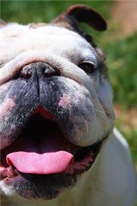 Ever So Happy Smiling English Bulldog Journal