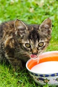 Darling Little Tabby Kitten with a Bowl of Cream Journal