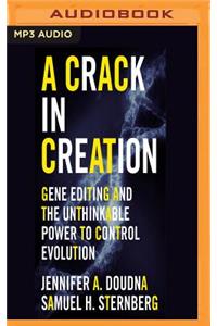 Crack in Creation