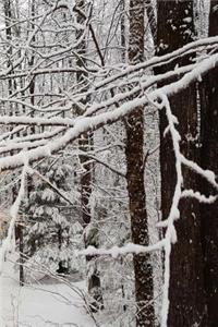 Winter Season Journal Pretty Forest