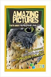 Amazing Pictures and Facts About Peregrine Falcons: The Most Amazing Fact Book for Kids About Peregrine Falcons (Kids U)