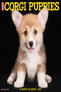 Just Corgi Puppies 2022 Wall Calendar (Dog Breed)