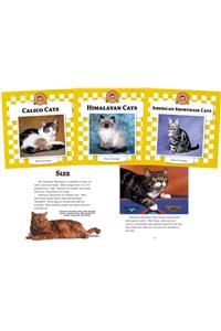 Cats Set 4