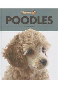 Poodles
