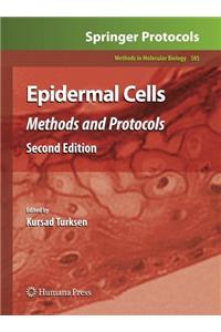 Epidermal Cells