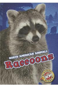 Raccoons
