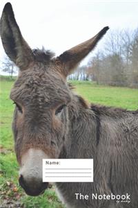 Donkey Notebook