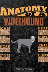 Anatomy Of A Wolfhound