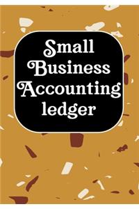 Small Business Accounting Ledger