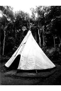 artist + anthropologist = Puerto Rico