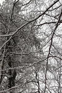 2019 Weekly Planner Winter Season Scenic Branches 134 Pages