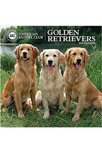 Golden Retrievers American Kennel Club 2018 Wall Calendar