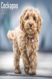 Cockapoo 2021 Wall Calendar