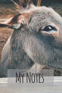 My Notes