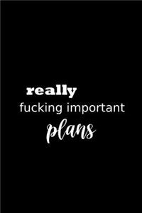 2019 Daily Planner Funny Theme Really Fucking Important Plans 384 Pages