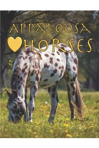 Appaloosa Horses