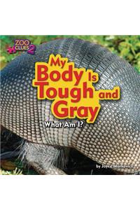 My Body Is Tough and Gray (Armadillo)